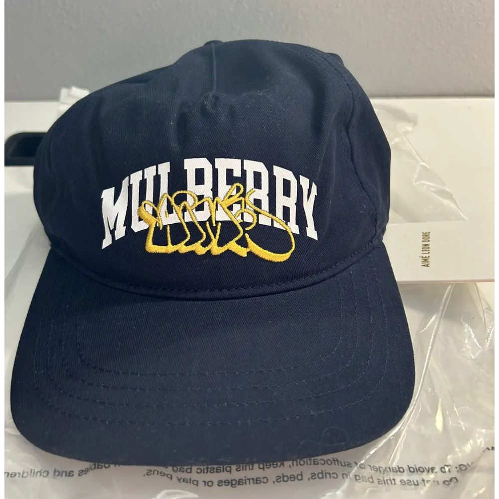 Aime Leon Dore Mulberry Throwie Hat